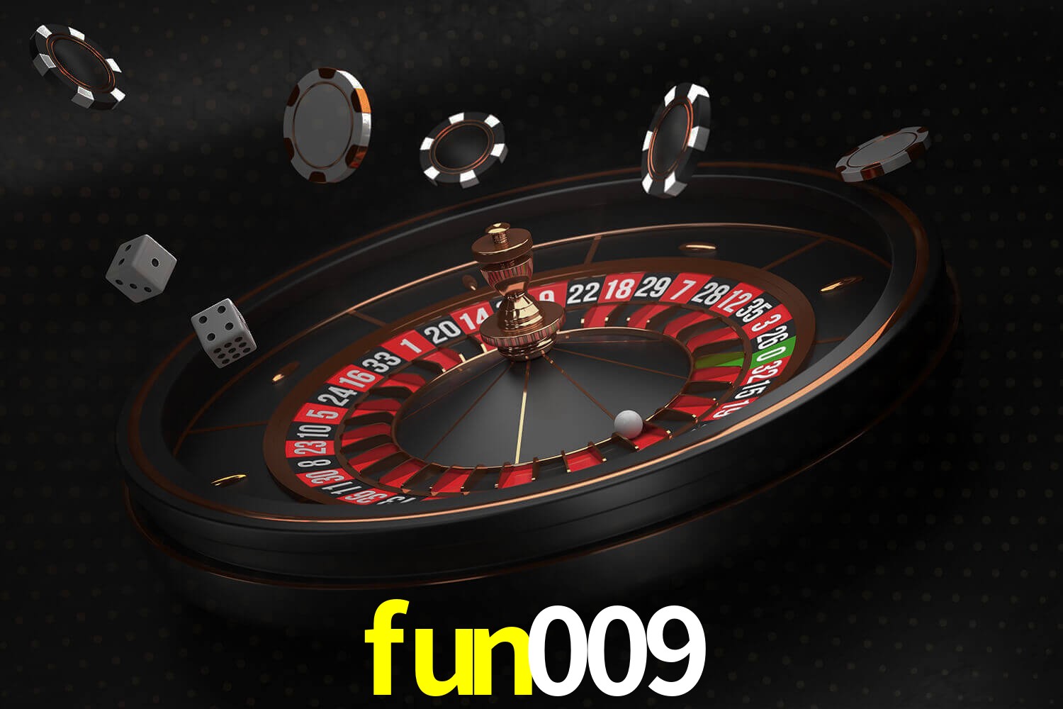 fun009